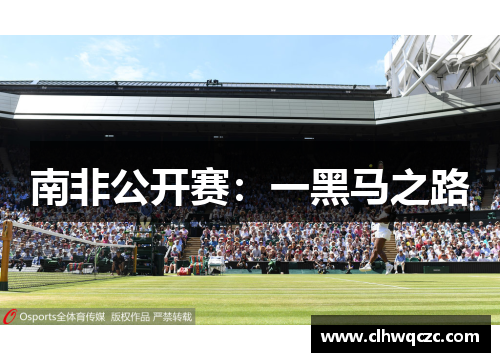 南非公开赛：一黑马之路